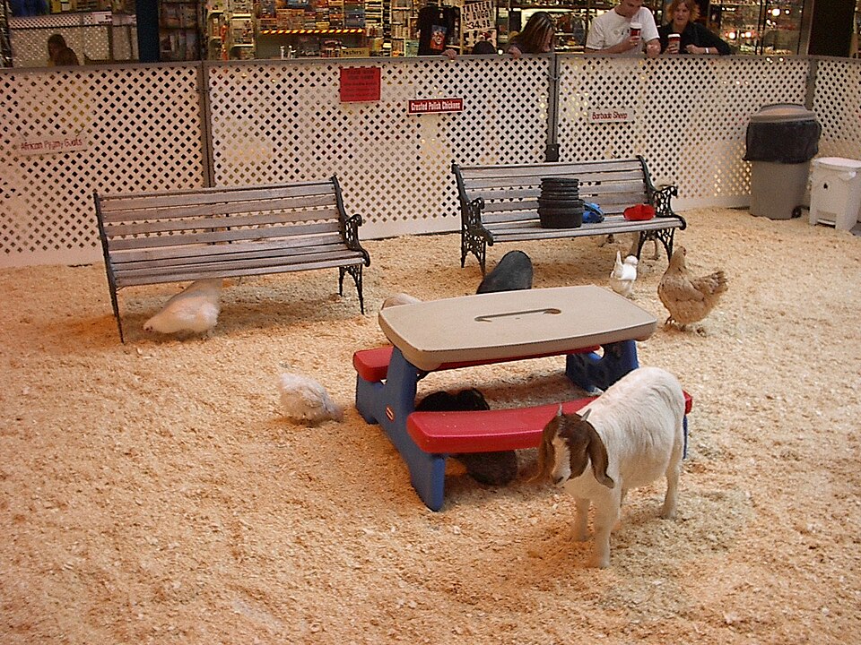 Dierenpark Volkel
